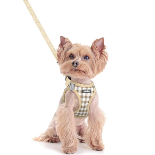 New Pet Essentials