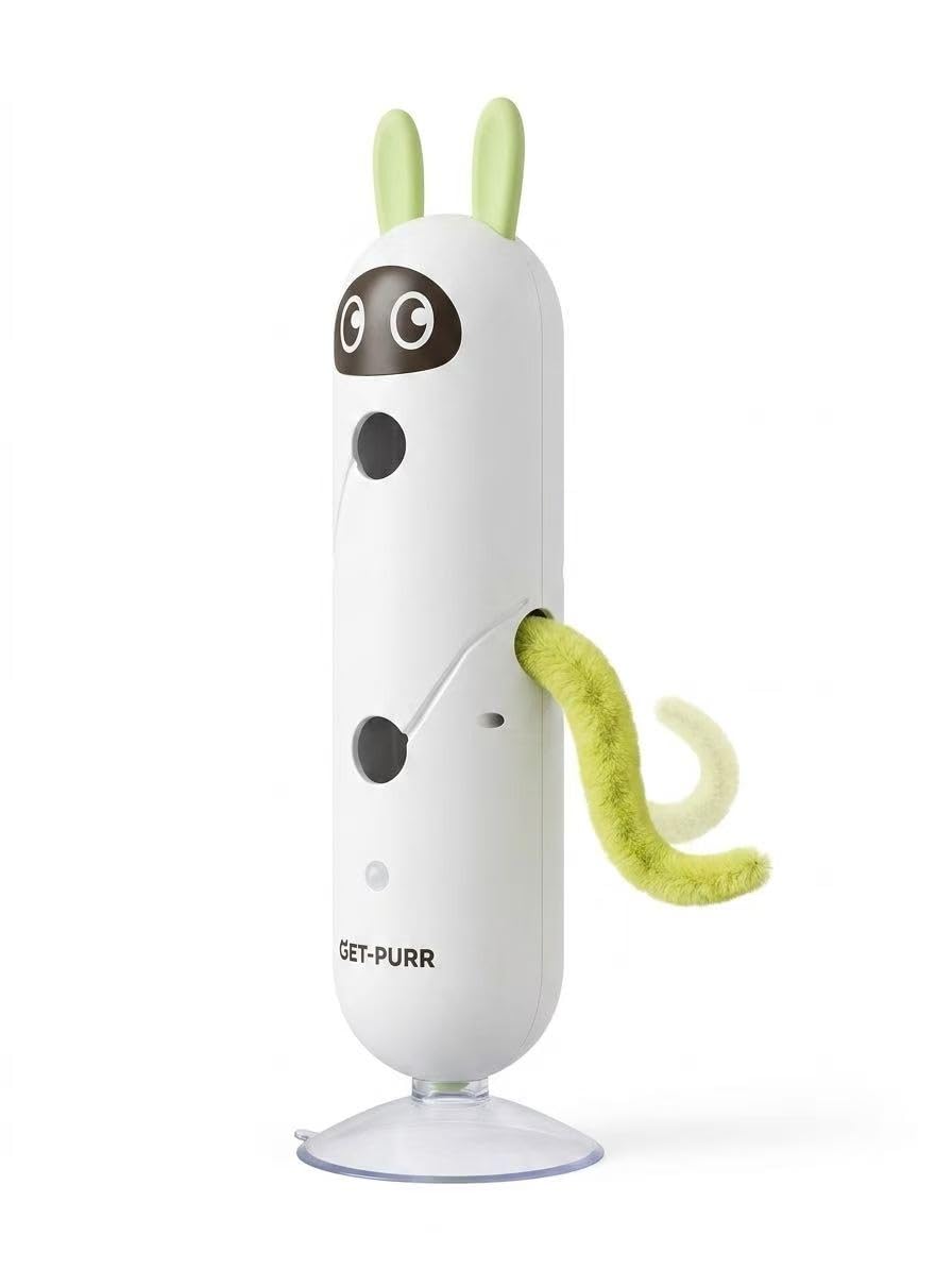 Cat Toys & Interactive Play