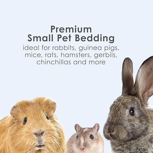 Small Animal Bedding & Litter