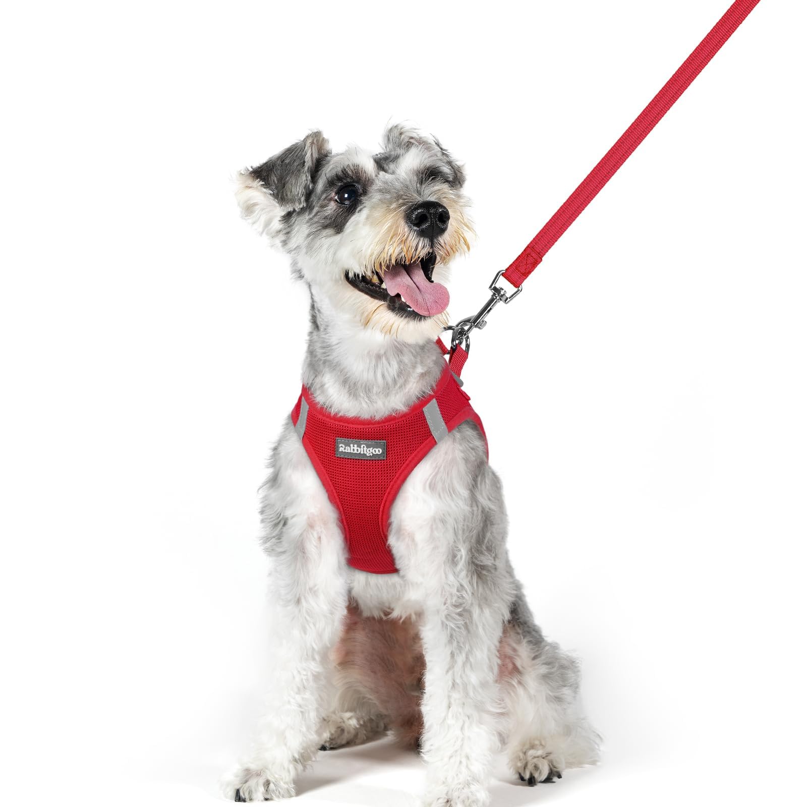 Pet Deals & Special Offers