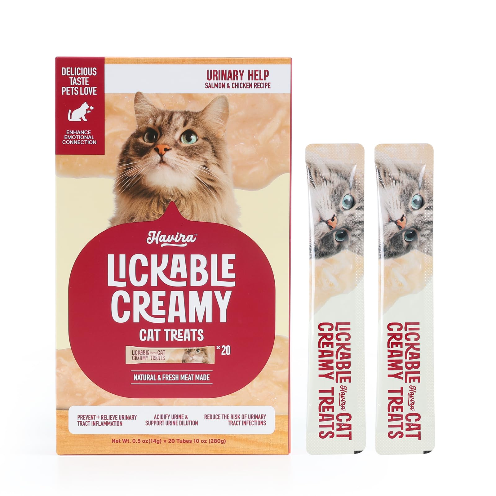 Cat Feeding & Hydration