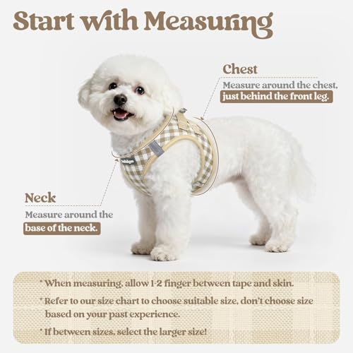 rabbitgoo Reflective Mesh Dog Harness & Leash Set