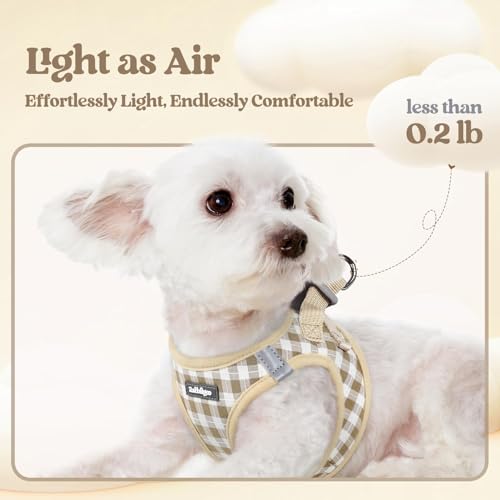 rabbitgoo Reflective Mesh Dog Harness & Leash Set