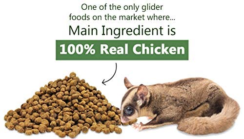 Exotic Nutrition Coconut Glider Essential Food, Zero Fillers