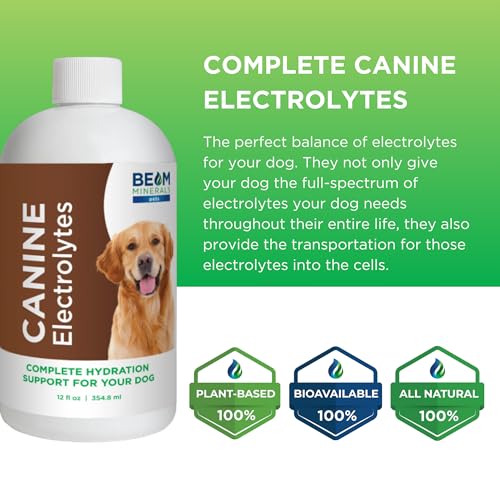Beam Minerals Complete Canine Electrolyte Supplement, 12 fl oz