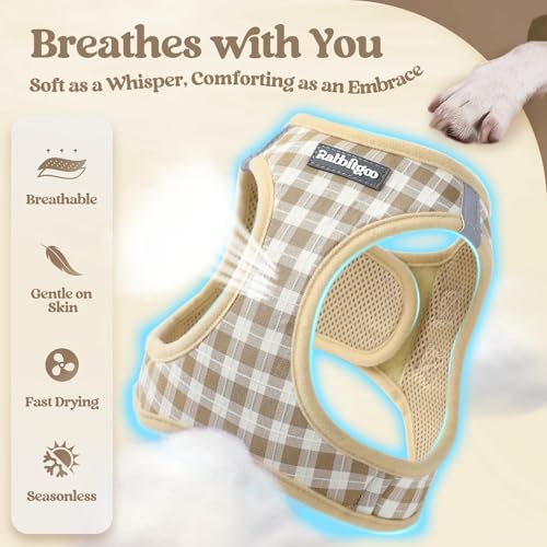 rabbitgoo Reflective Mesh Dog Harness & Leash Set