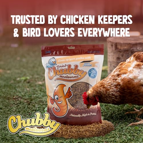 Chubby High-Protein Dried Mealworms for Birds & Poultry