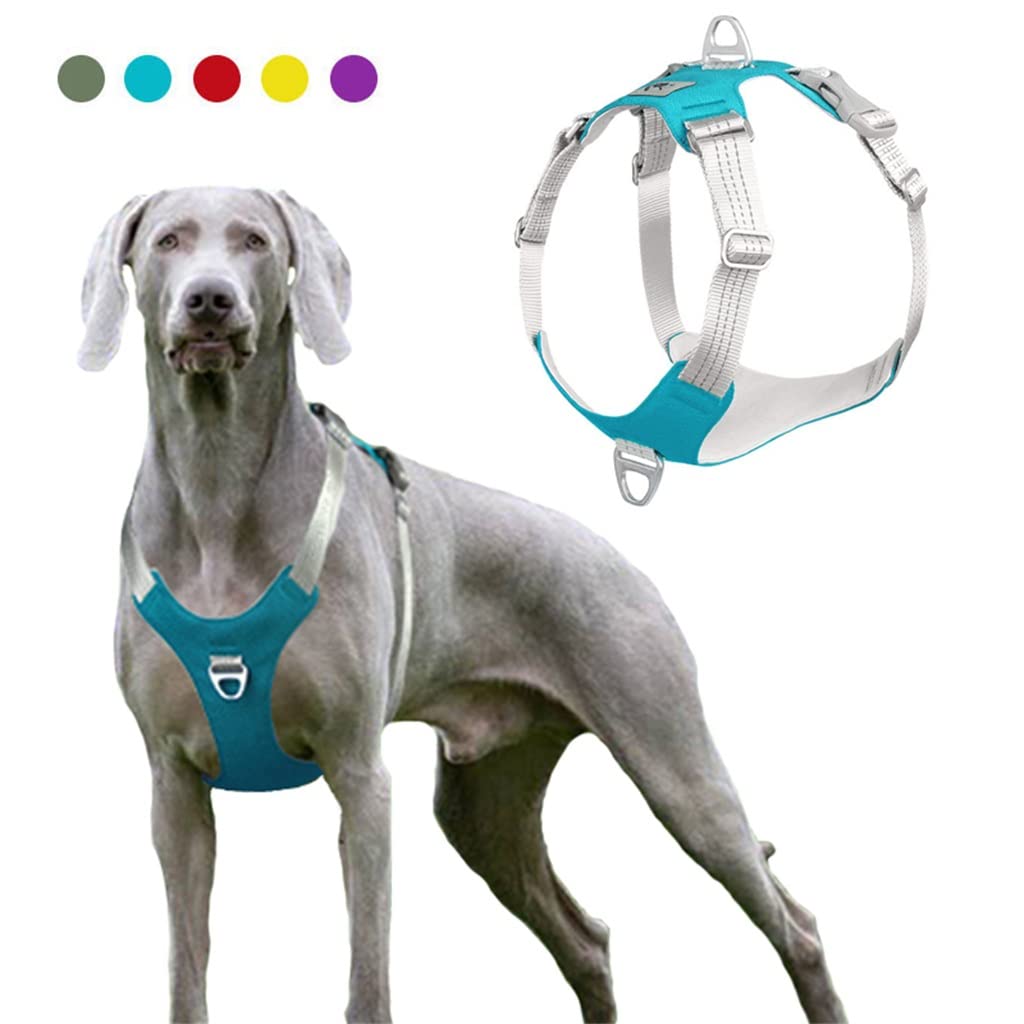 No-Pull Vest Harness for Medium and Large Dogs