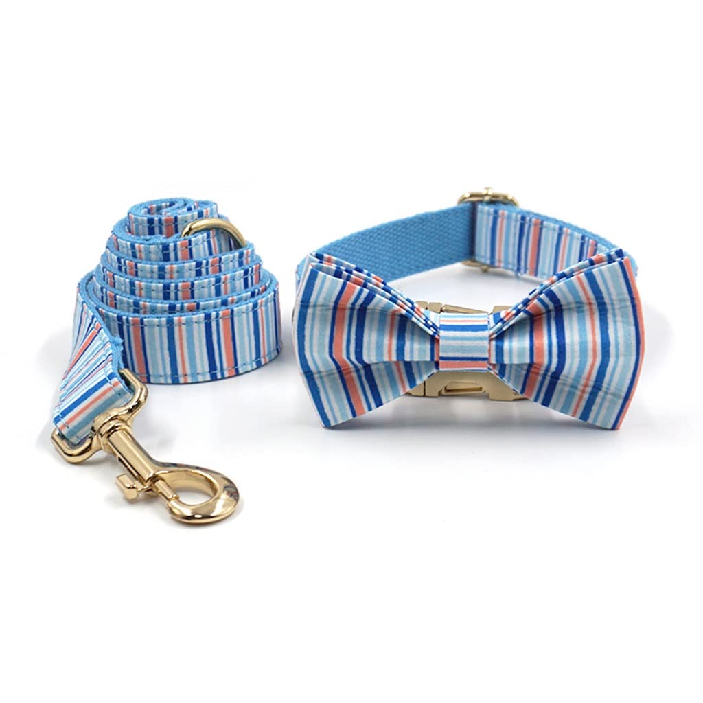 Personalized No-Pull Harness, Collar & Leash Set for Small Dogs