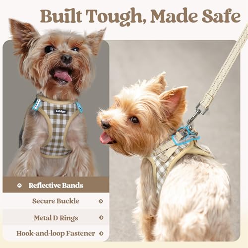 rabbitgoo Reflective Mesh Dog Harness & Leash Set