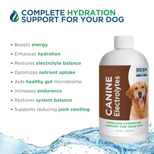 Beam Minerals Complete Canine Electrolyte Supplement, 12 fl oz