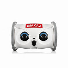 USA CALI Automatic Rolling Owl Toy for Cats & Dogs