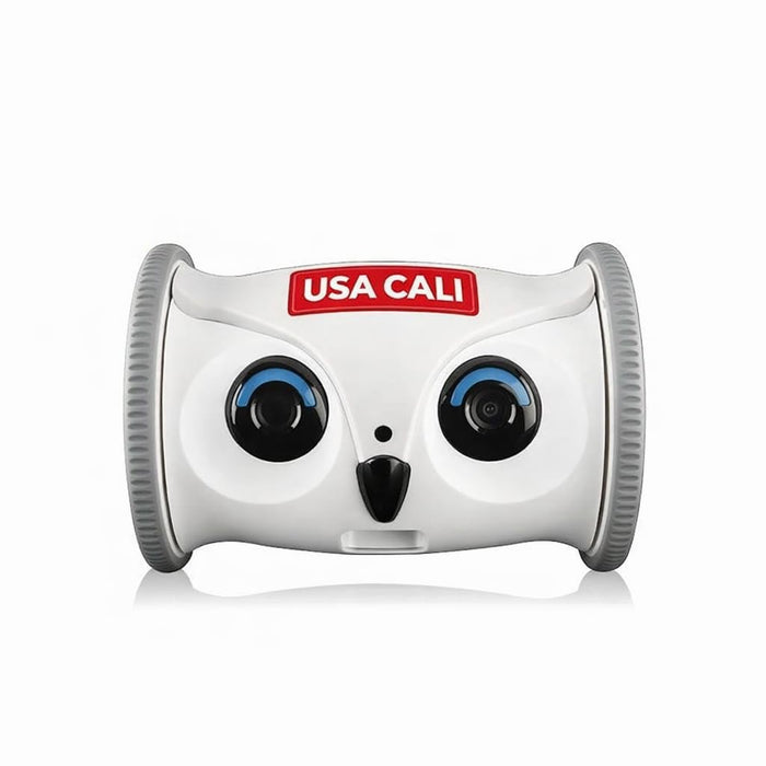 USA CALI Automatic Rolling Owl Toy for Cats & Dogs