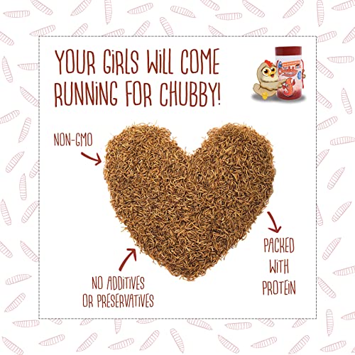 Chubby High-Protein Dried Mealworms for Birds & Poultry