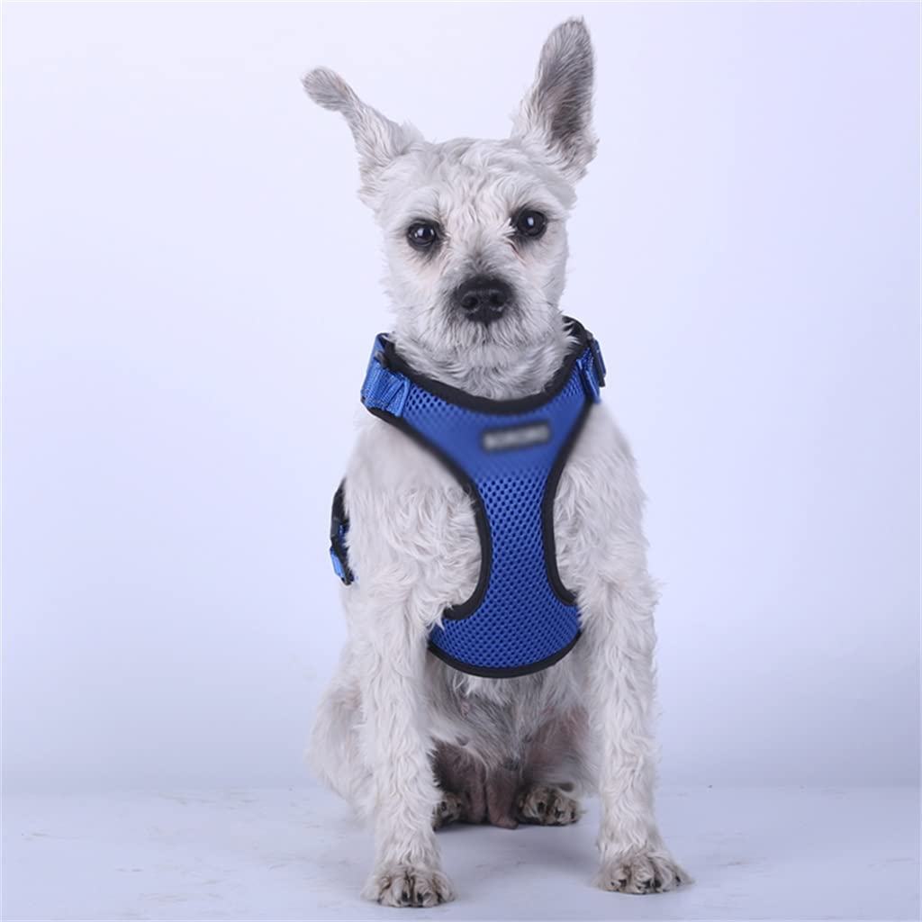 Adjustable Breathable Mesh Harness Vest for Dogs & Cats