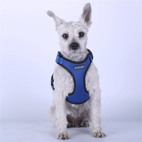 Adjustable Breathable Mesh Harness Vest for Dogs & Cats