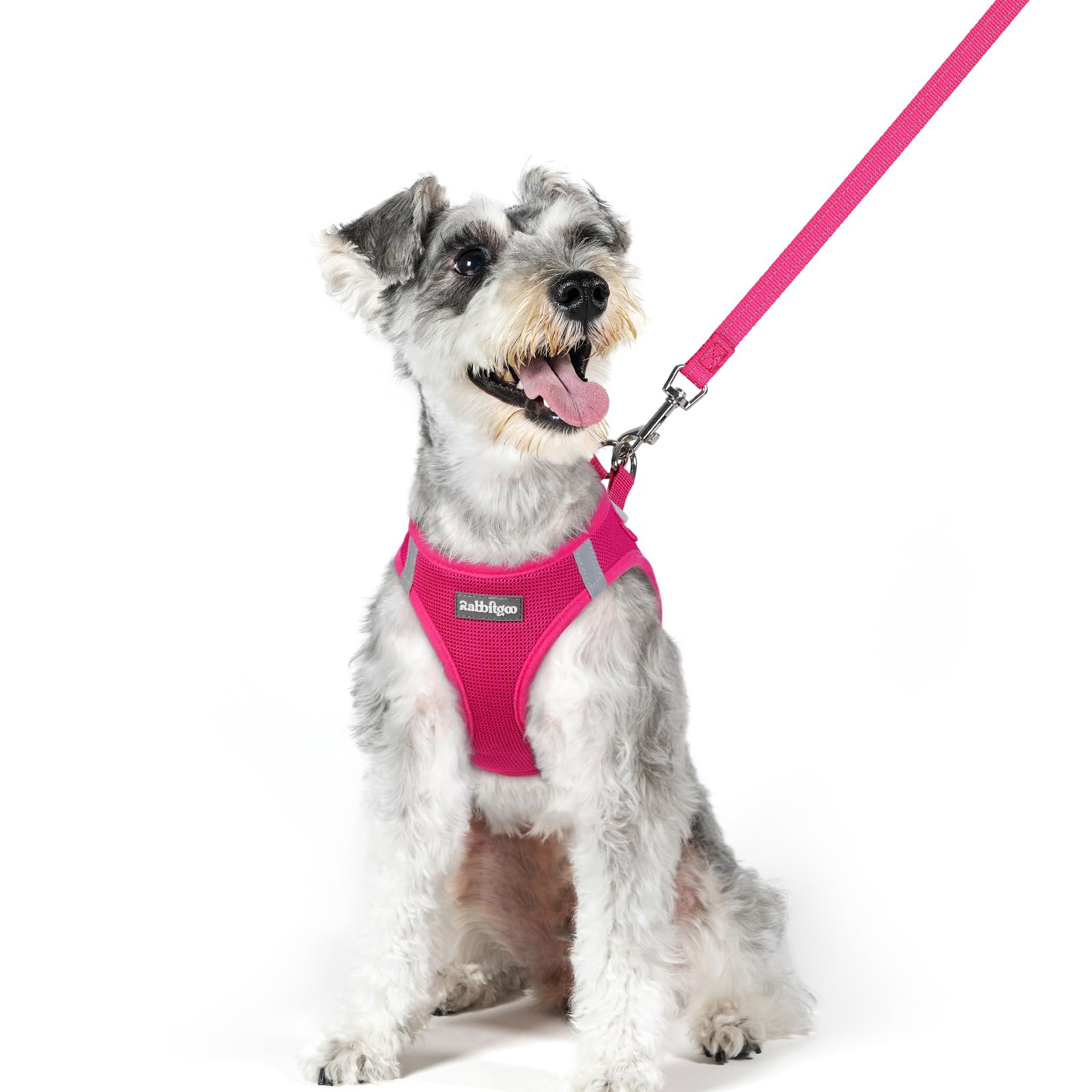 rabbitgoo Reflective Mesh Dog Harness & Leash Set