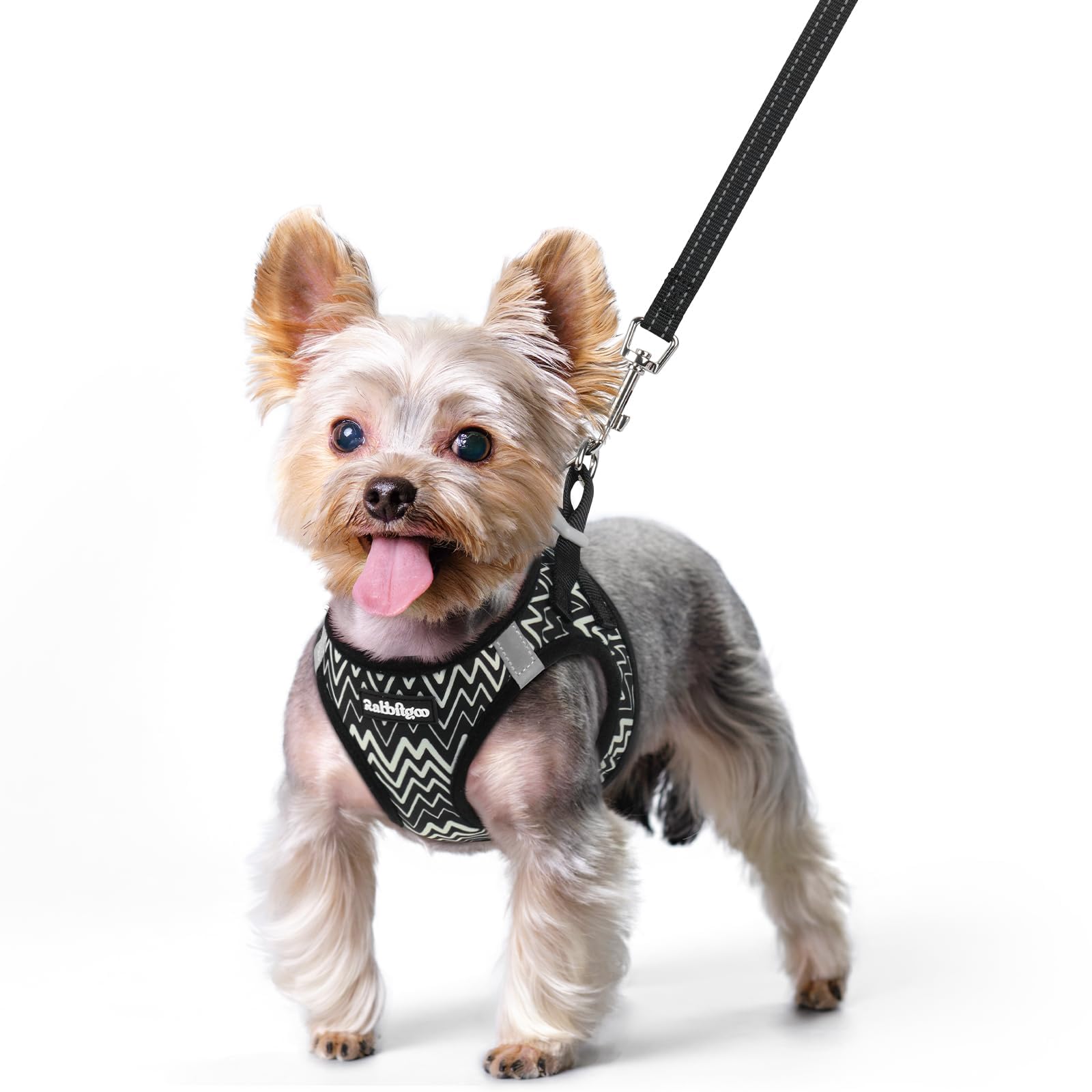 rabbitgoo Reflective Mesh Dog Harness & Leash Set