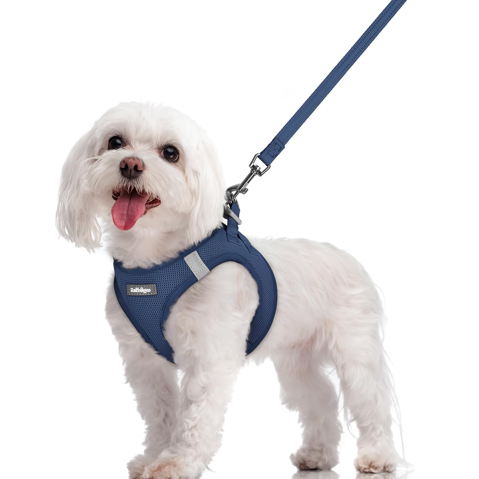 rabbitgoo Reflective Mesh Dog Harness & Leash Set