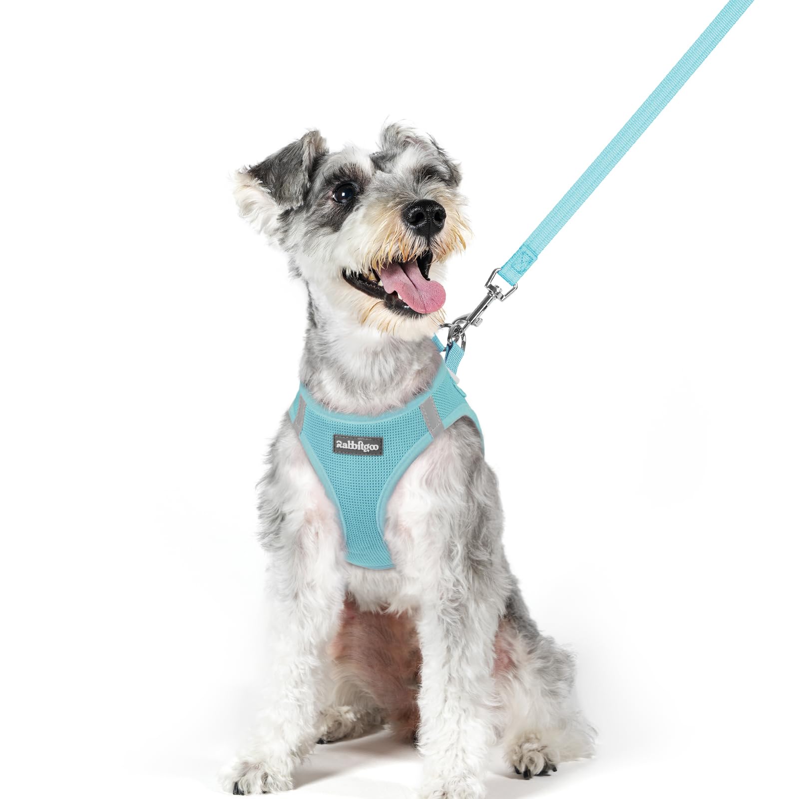 rabbitgoo Reflective Mesh Dog Harness & Leash Set