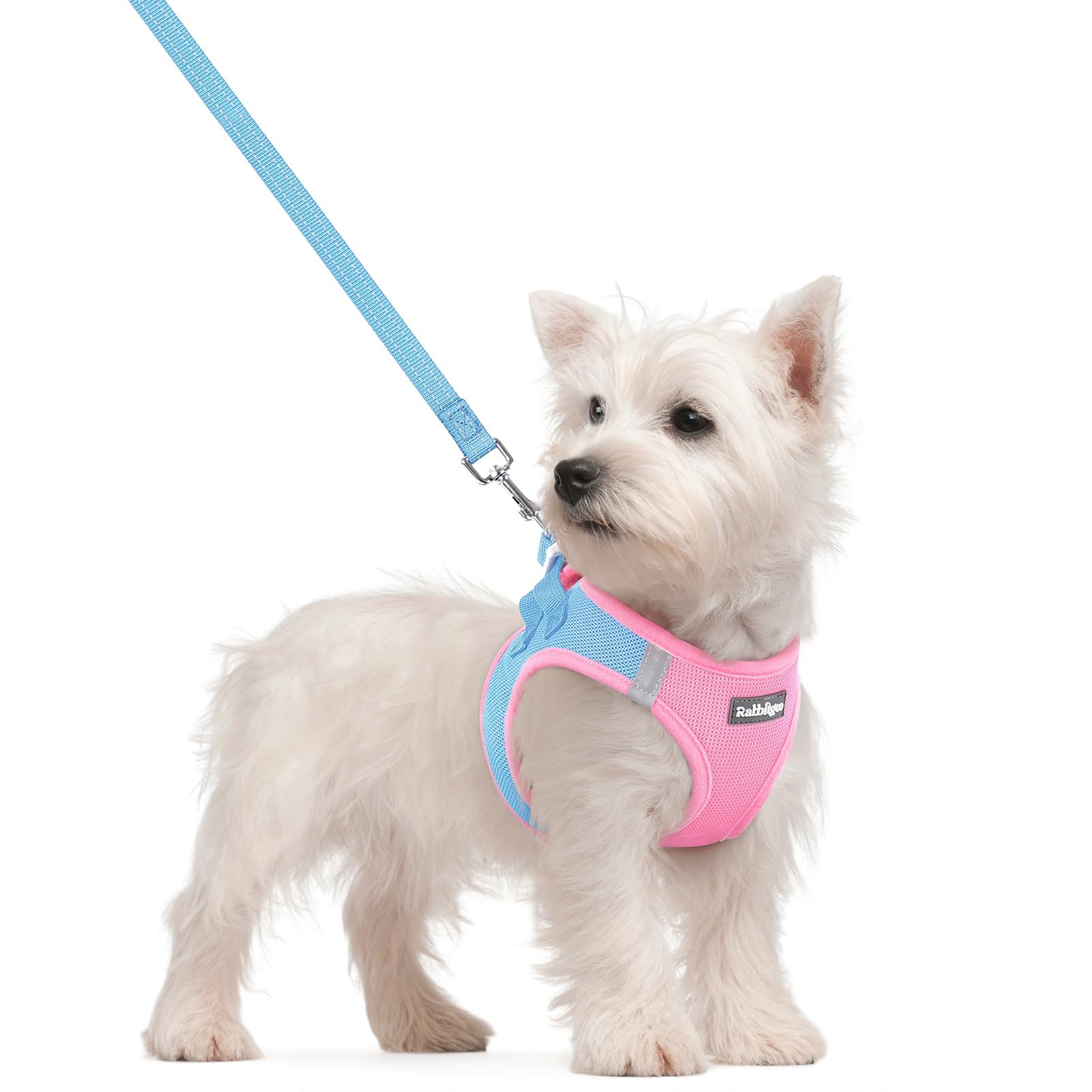 rabbitgoo Reflective Mesh Dog Harness & Leash Set