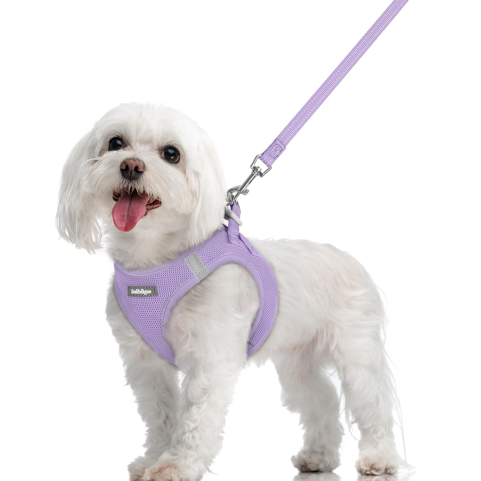 rabbitgoo Reflective Mesh Dog Harness & Leash Set