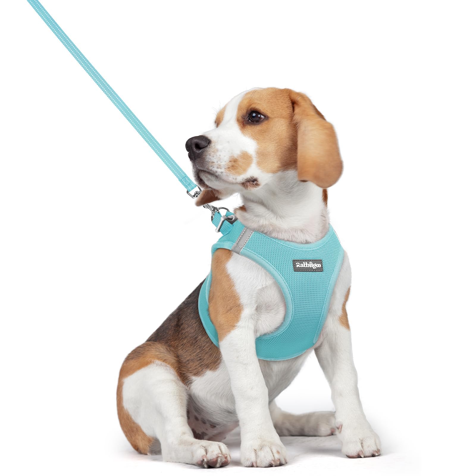 rabbitgoo Reflective Mesh Dog Harness & Leash Set