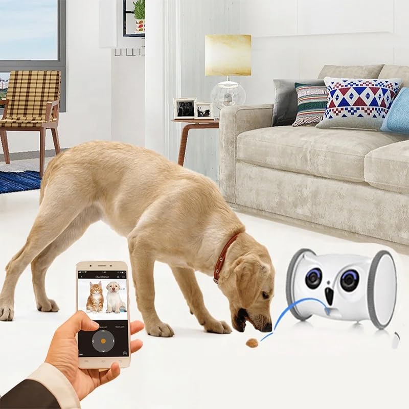 USA CALI Automatic Rolling Owl Toy for Cats & Dogs