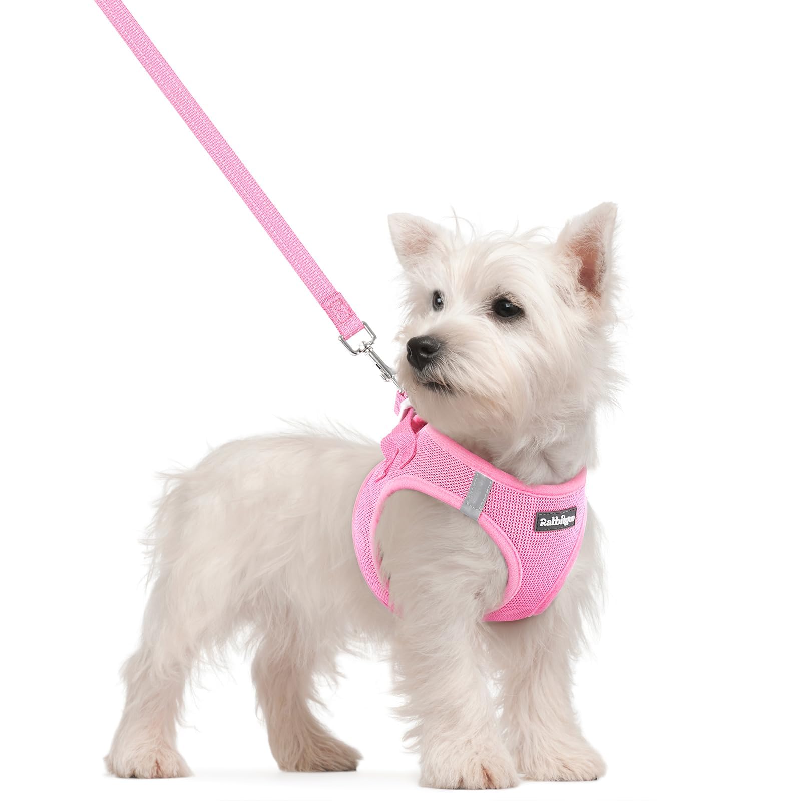 rabbitgoo Reflective Mesh Dog Harness & Leash Set