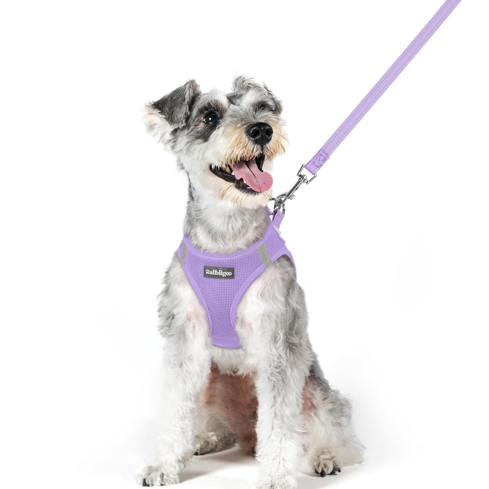 rabbitgoo Reflective Mesh Dog Harness & Leash Set