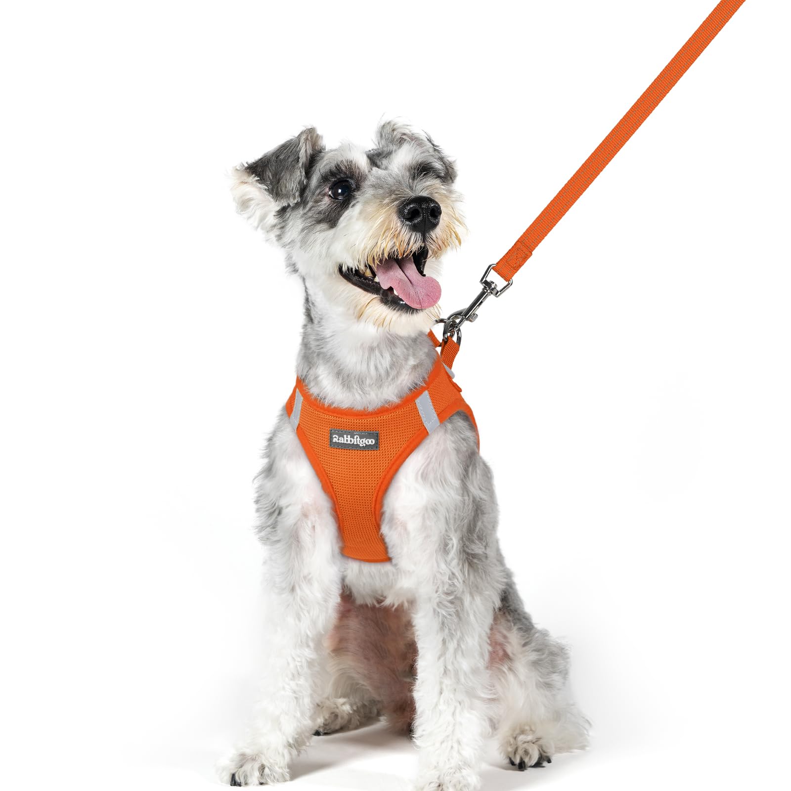 rabbitgoo Reflective Mesh Dog Harness & Leash Set