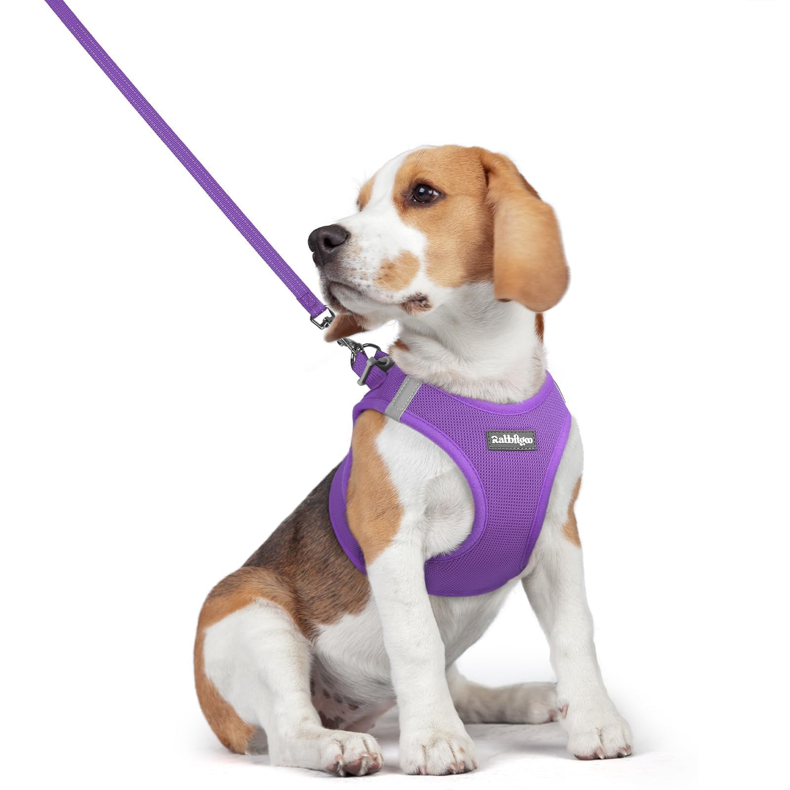 rabbitgoo Reflective Mesh Dog Harness & Leash Set