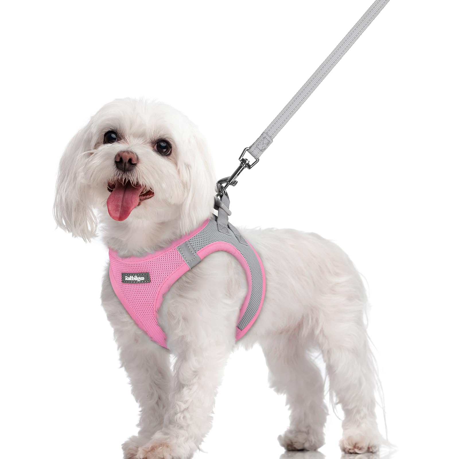 rabbitgoo Reflective Mesh Dog Harness & Leash Set