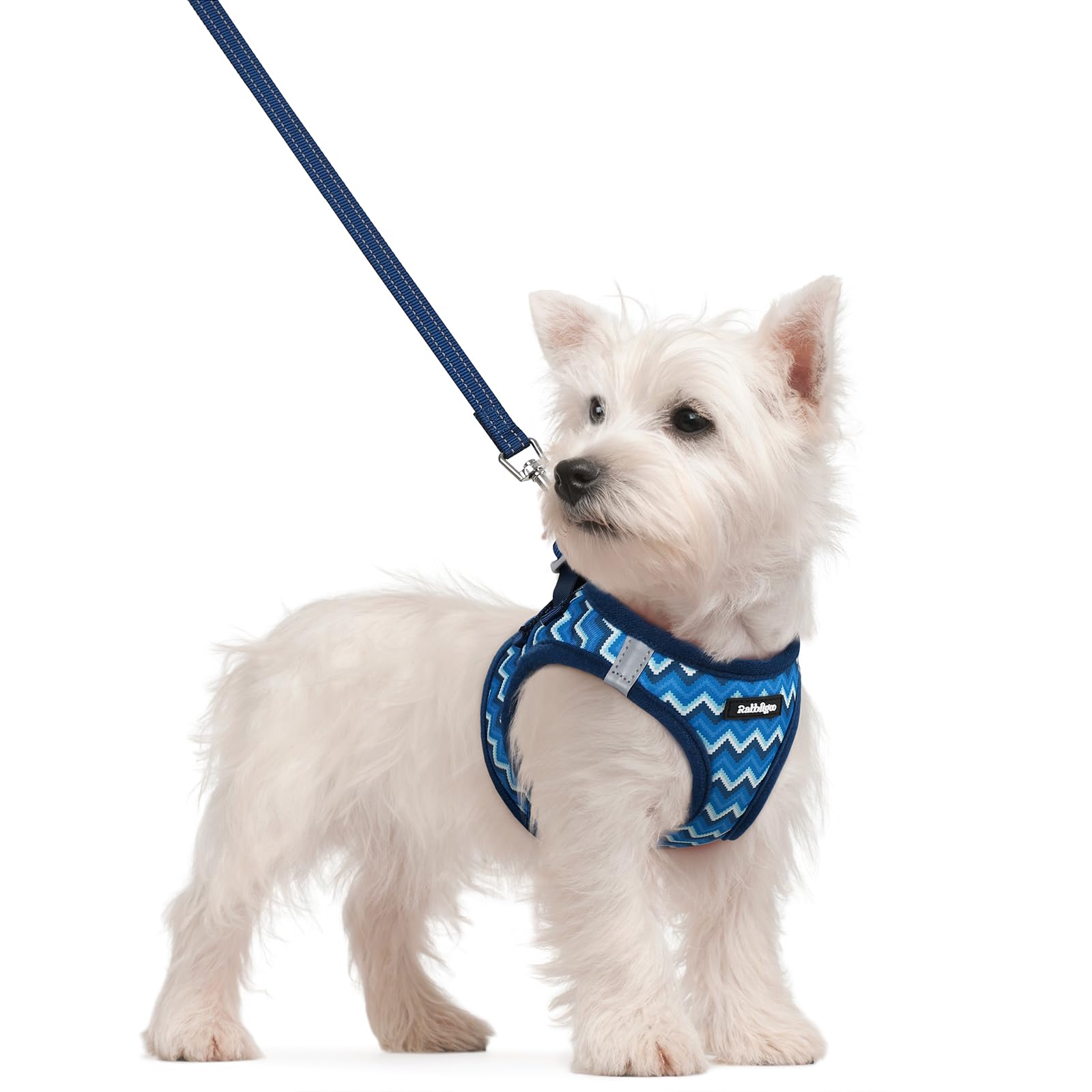 rabbitgoo Reflective Mesh Dog Harness & Leash Set