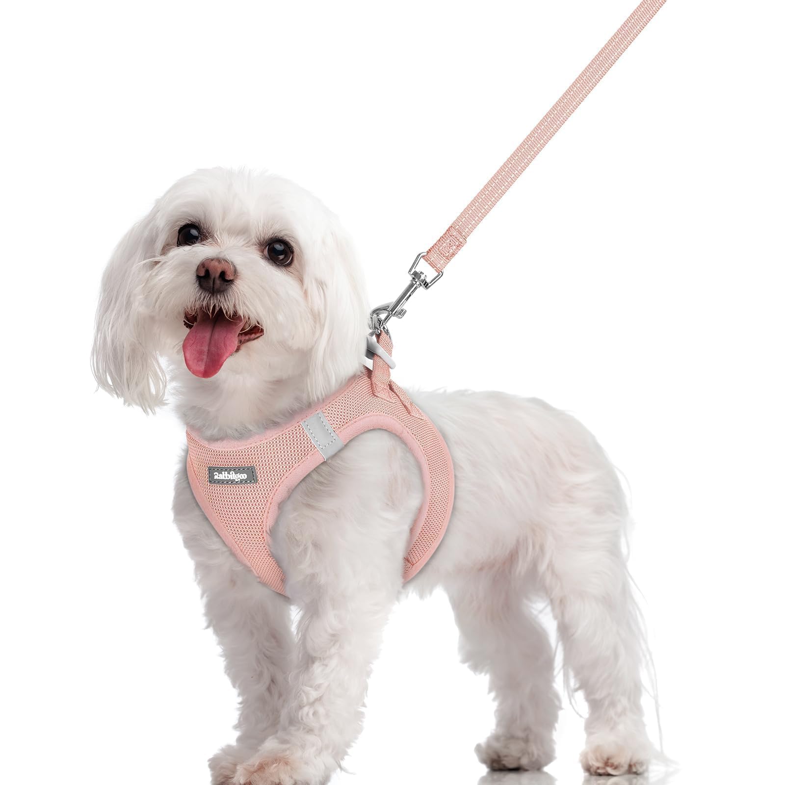rabbitgoo Reflective Mesh Dog Harness & Leash Set