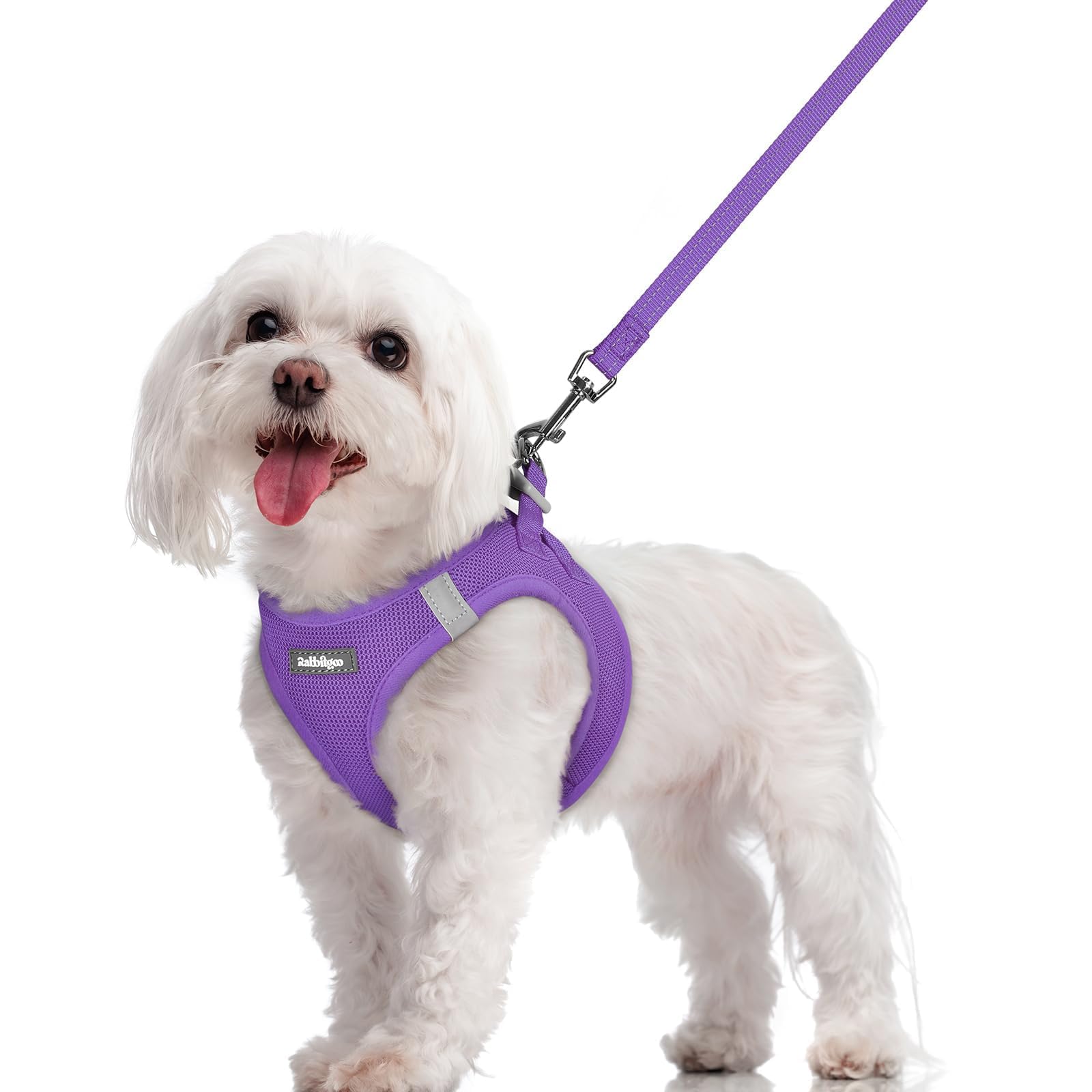 rabbitgoo Reflective Mesh Dog Harness & Leash Set
