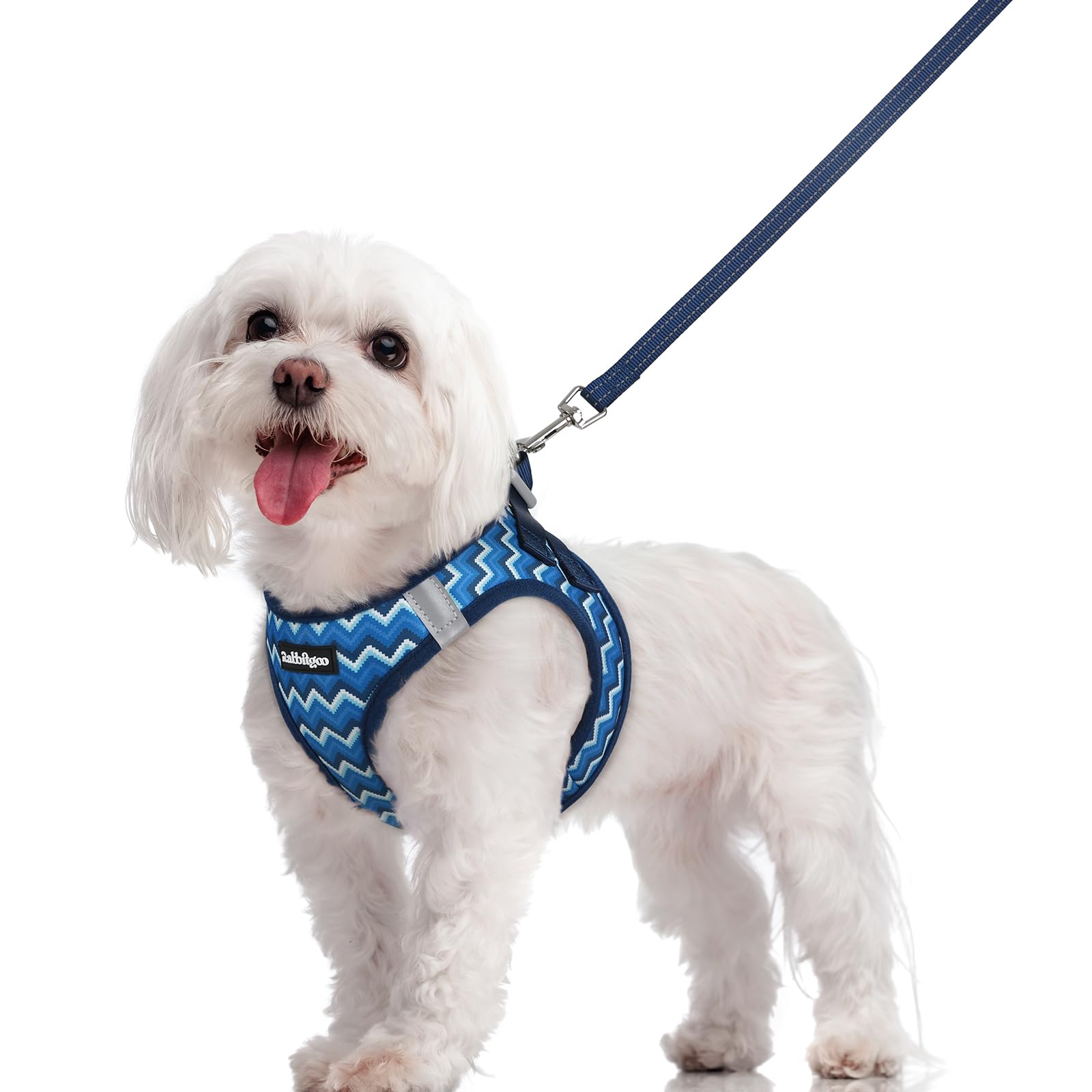 rabbitgoo Reflective Mesh Dog Harness & Leash Set