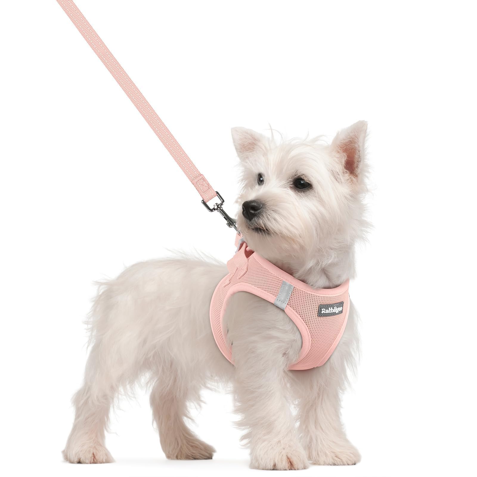 rabbitgoo Reflective Mesh Dog Harness & Leash Set