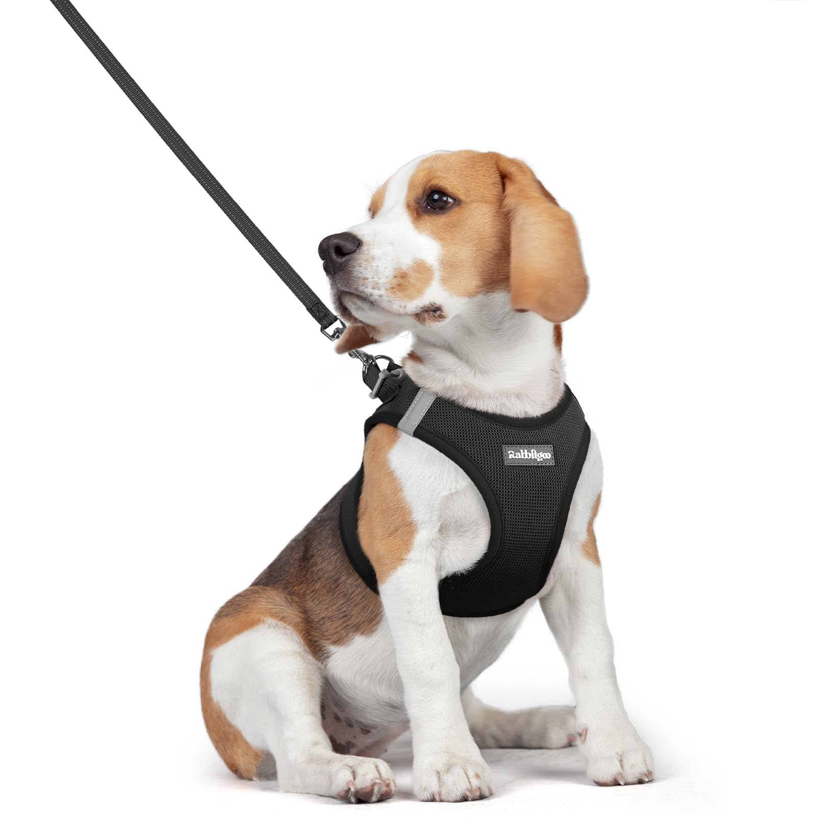 rabbitgoo Reflective Mesh Dog Harness & Leash Set