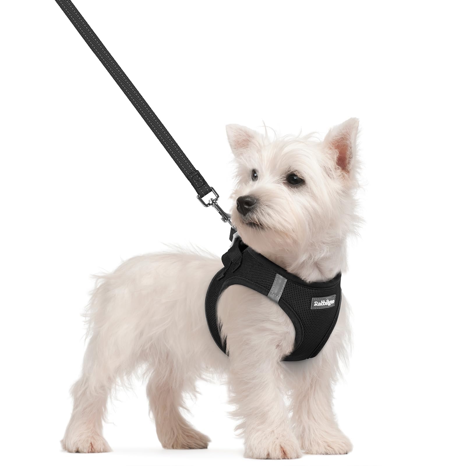 rabbitgoo Reflective Mesh Dog Harness & Leash Set