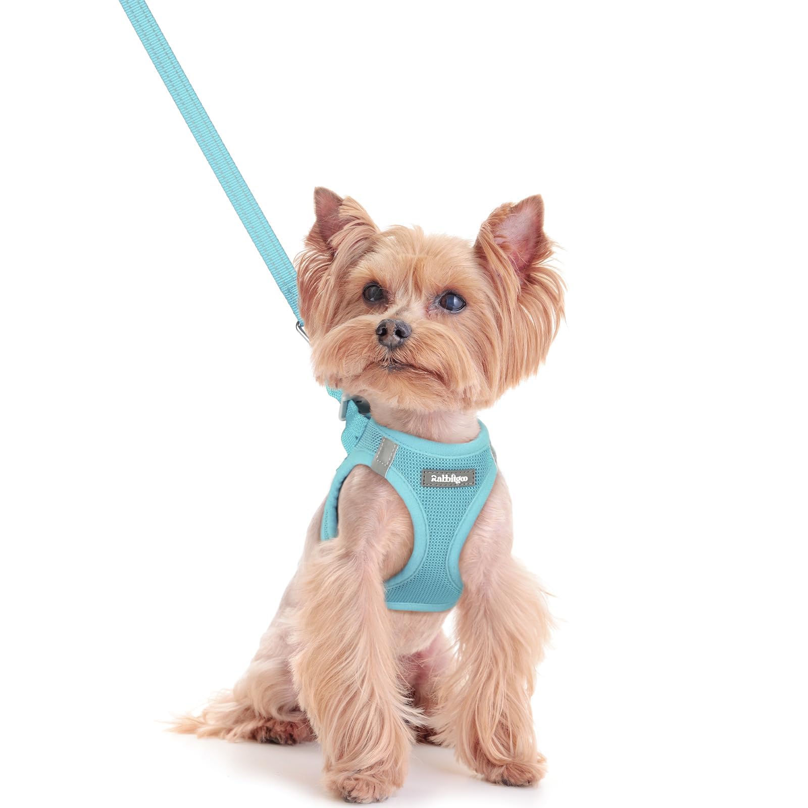 rabbitgoo Reflective Mesh Dog Harness & Leash Set