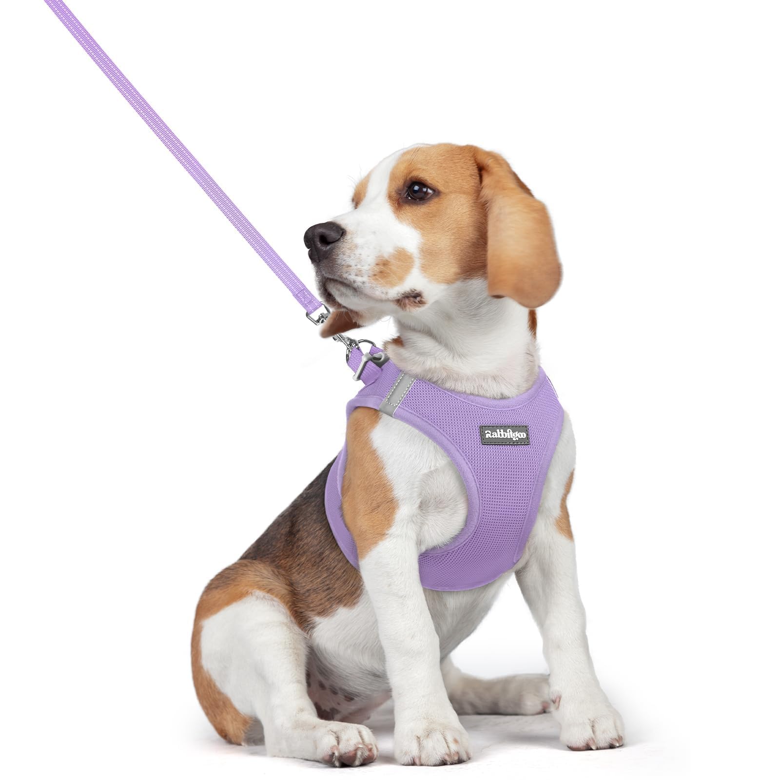rabbitgoo Reflective Mesh Dog Harness & Leash Set