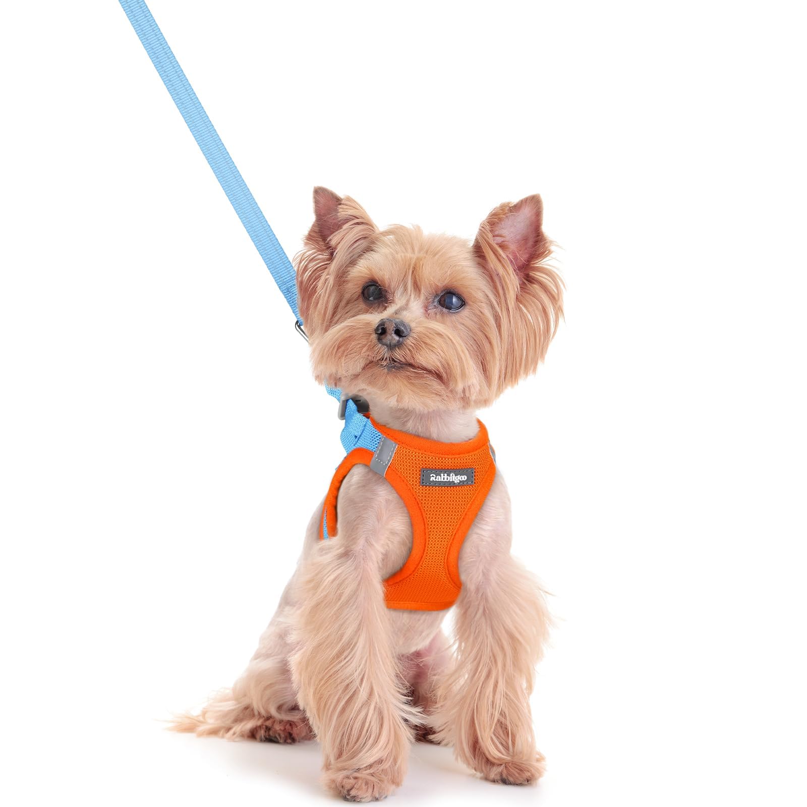 rabbitgoo Reflective Mesh Dog Harness & Leash Set