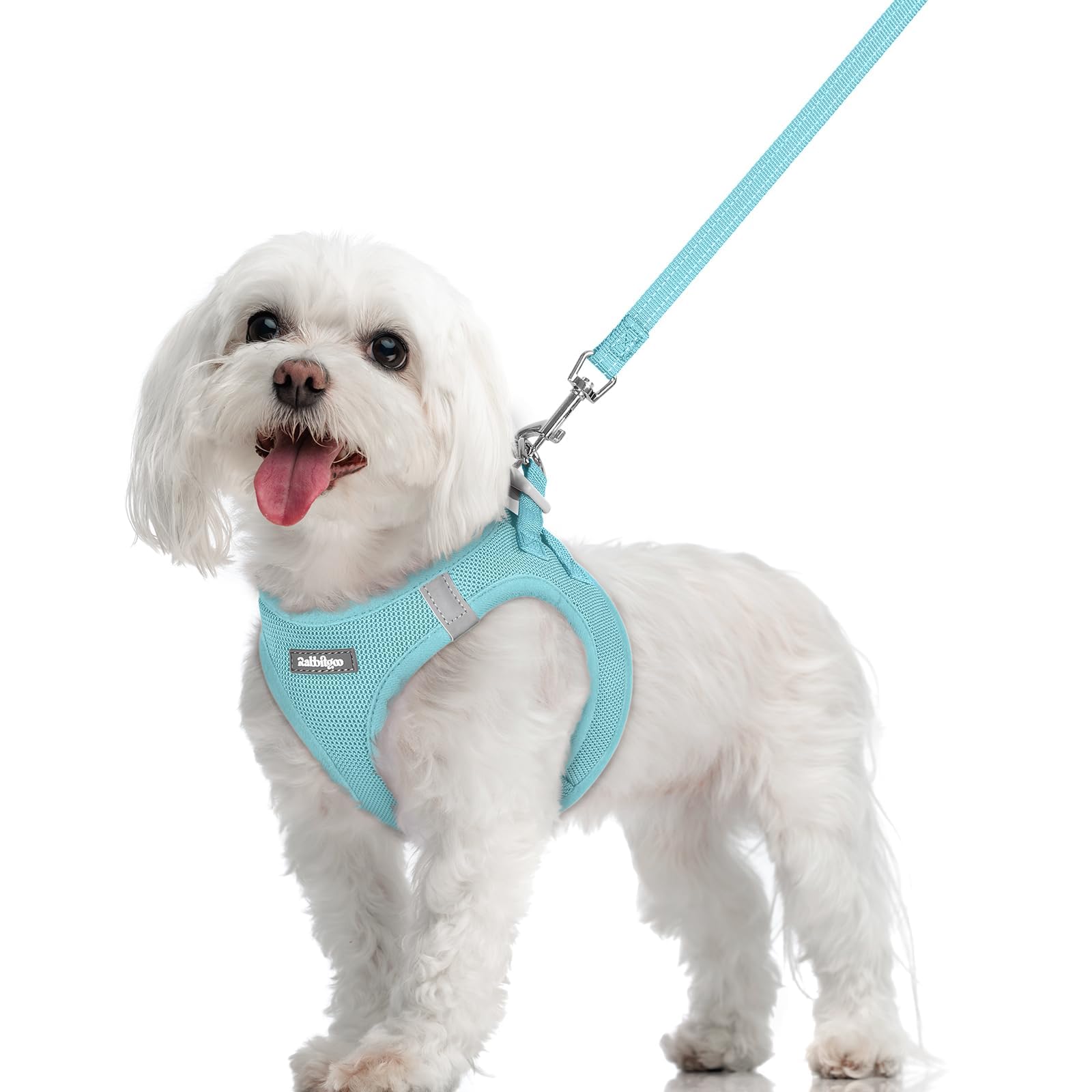 rabbitgoo Reflective Mesh Dog Harness & Leash Set