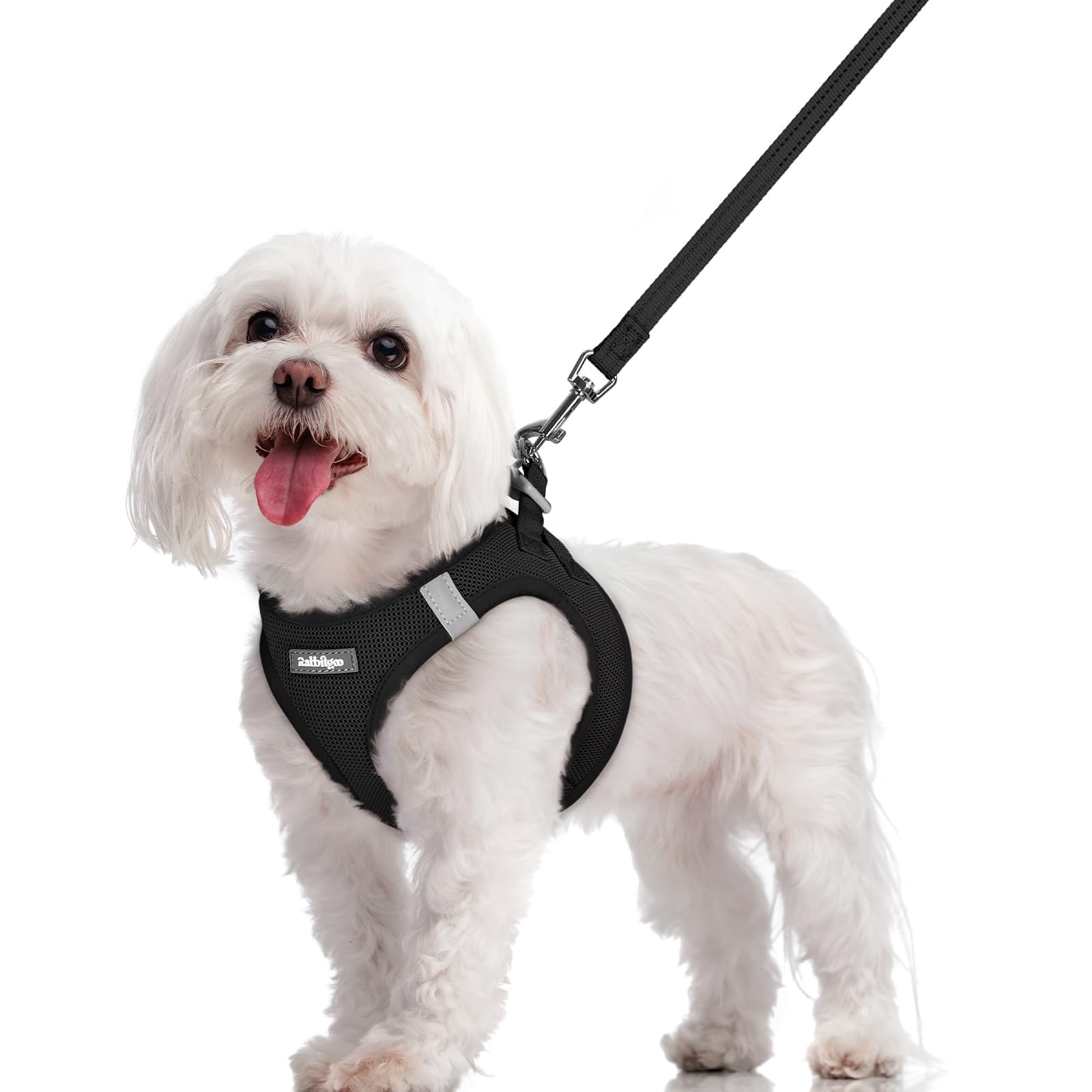 rabbitgoo Reflective Mesh Dog Harness & Leash Set
