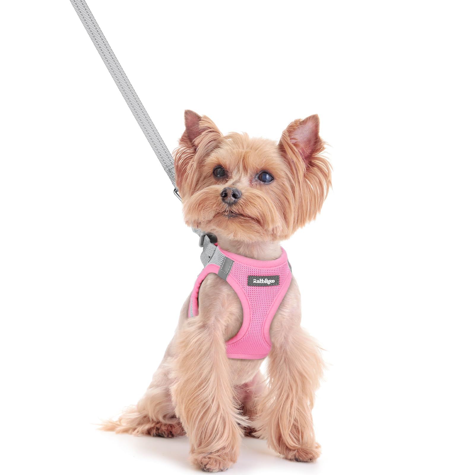 rabbitgoo Reflective Mesh Dog Harness & Leash Set