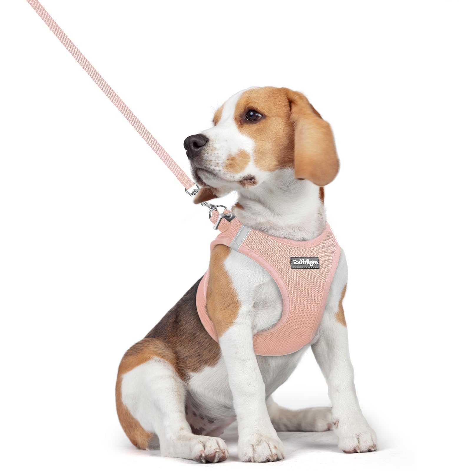rabbitgoo Reflective Mesh Dog Harness & Leash Set