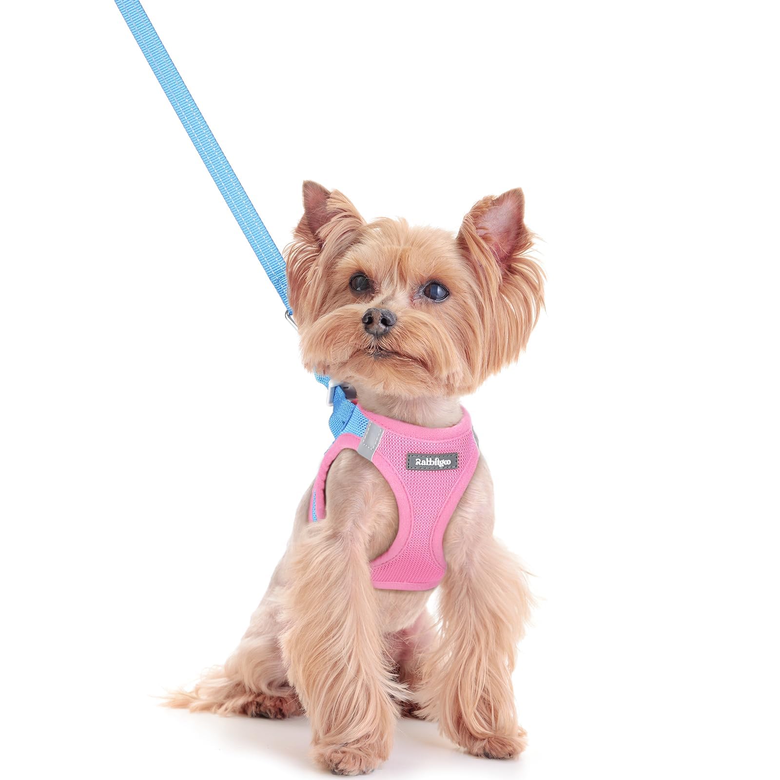 rabbitgoo Reflective Mesh Dog Harness & Leash Set