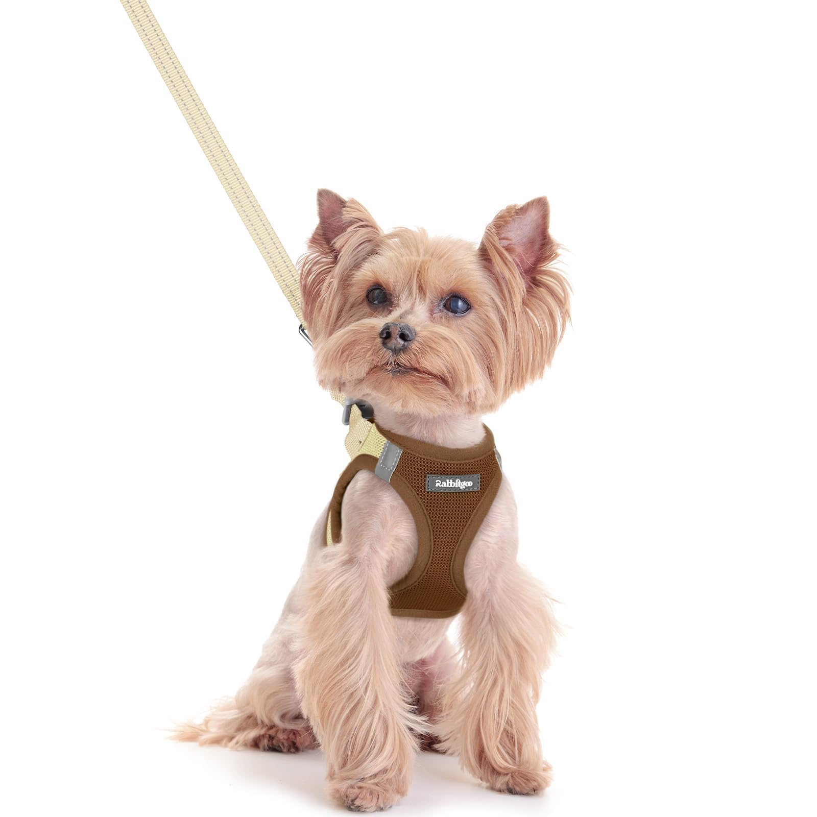 rabbitgoo Reflective Mesh Dog Harness & Leash Set