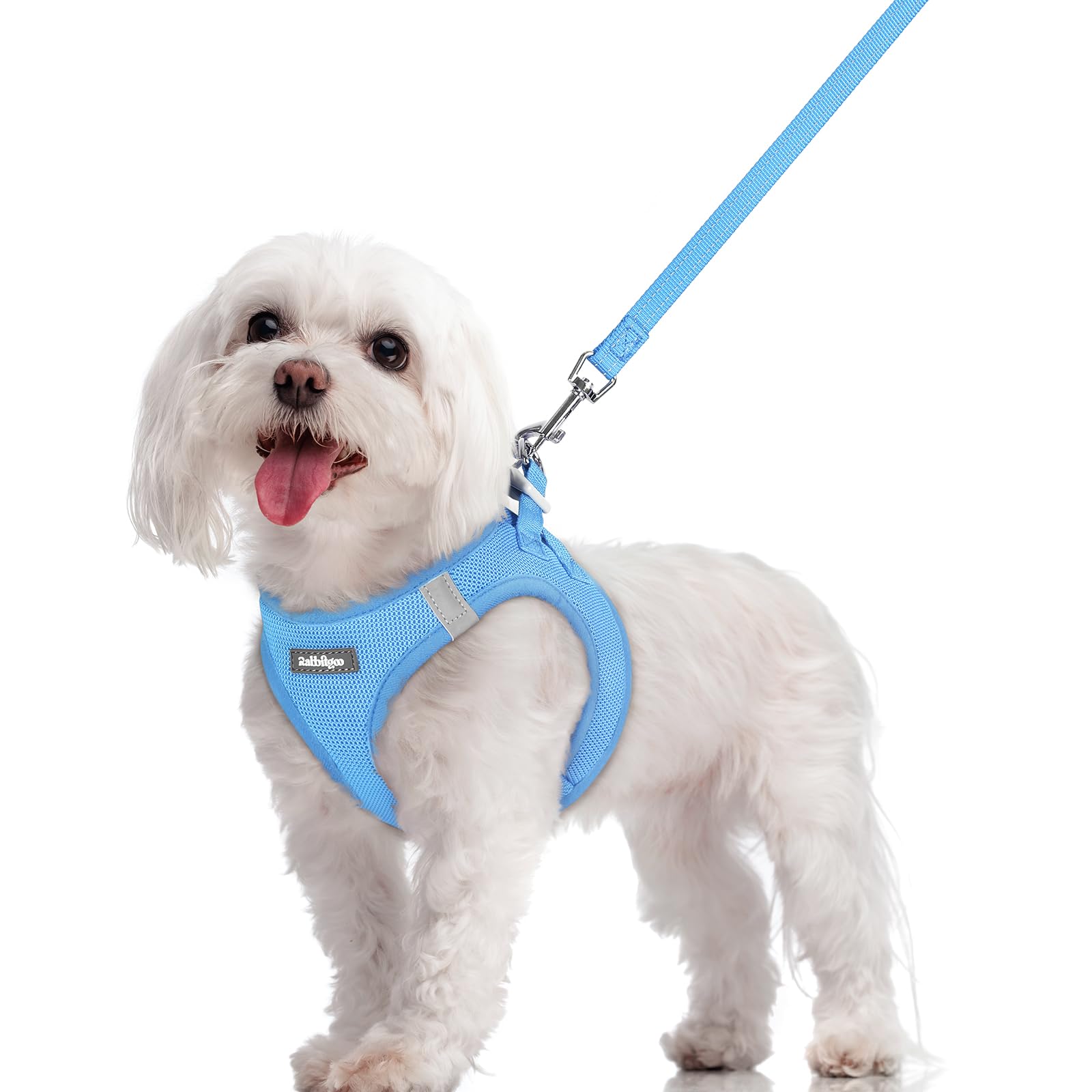 rabbitgoo Reflective Mesh Dog Harness & Leash Set